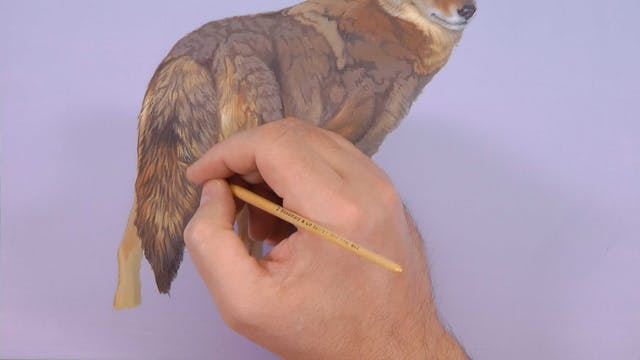 Evening Perambulation Pt.5