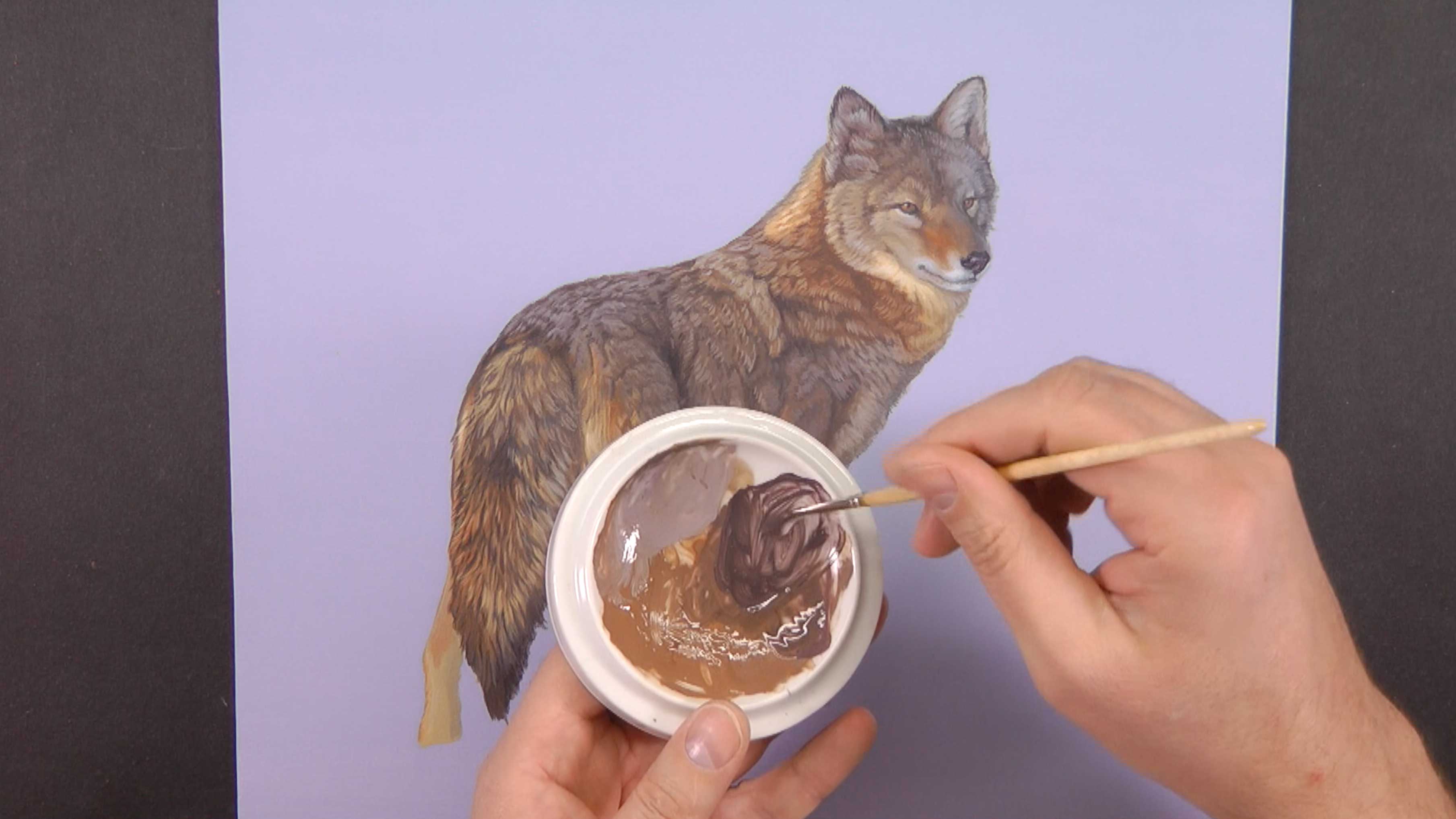 Evening Perambulation Pt.6