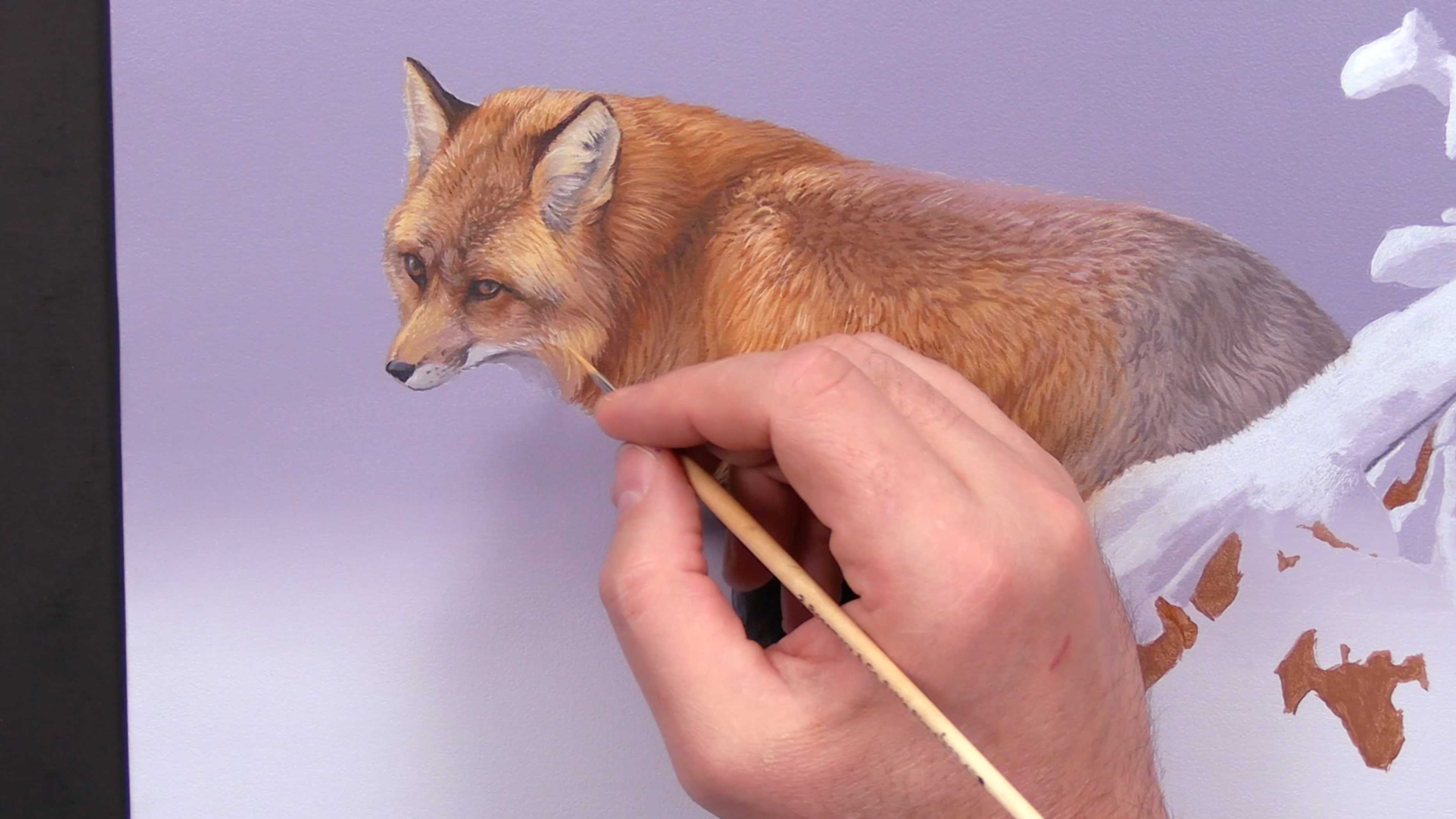 Emerging Colour Pt.6