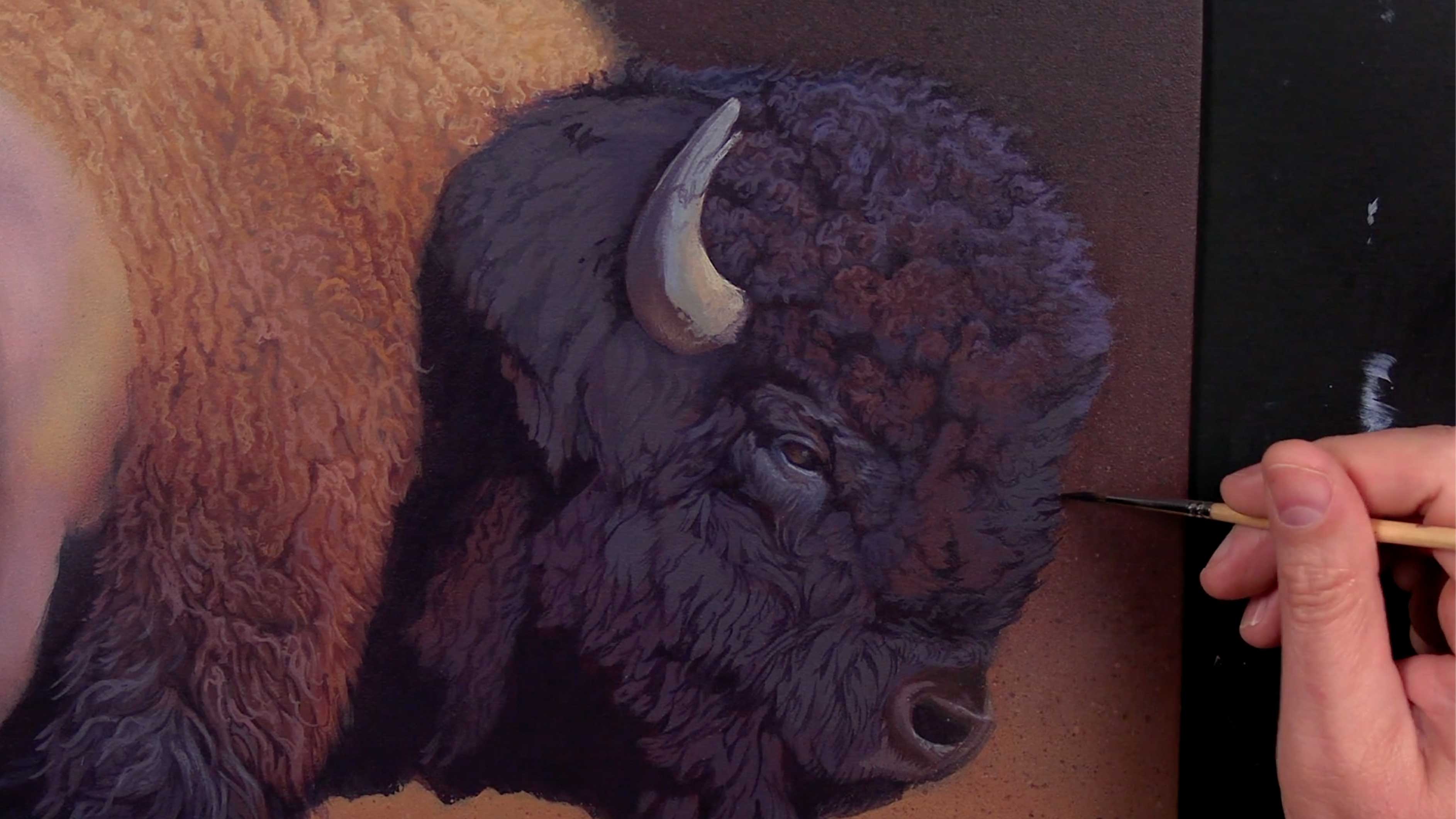 Under A Watchful Eye Pt.5