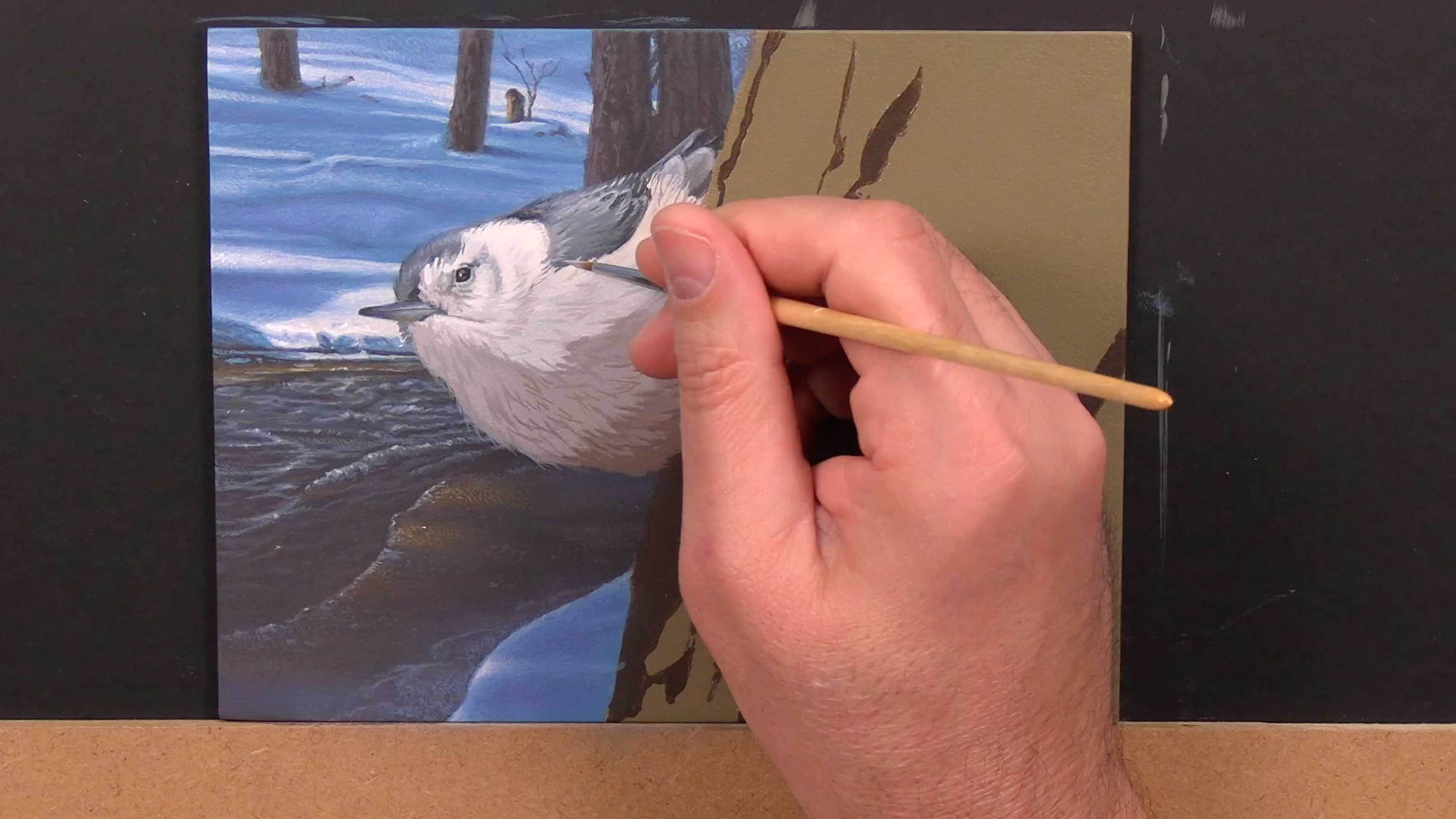 Scout Valley Perspective Pt.3