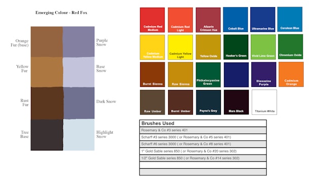 common-loon-materials.jpg
