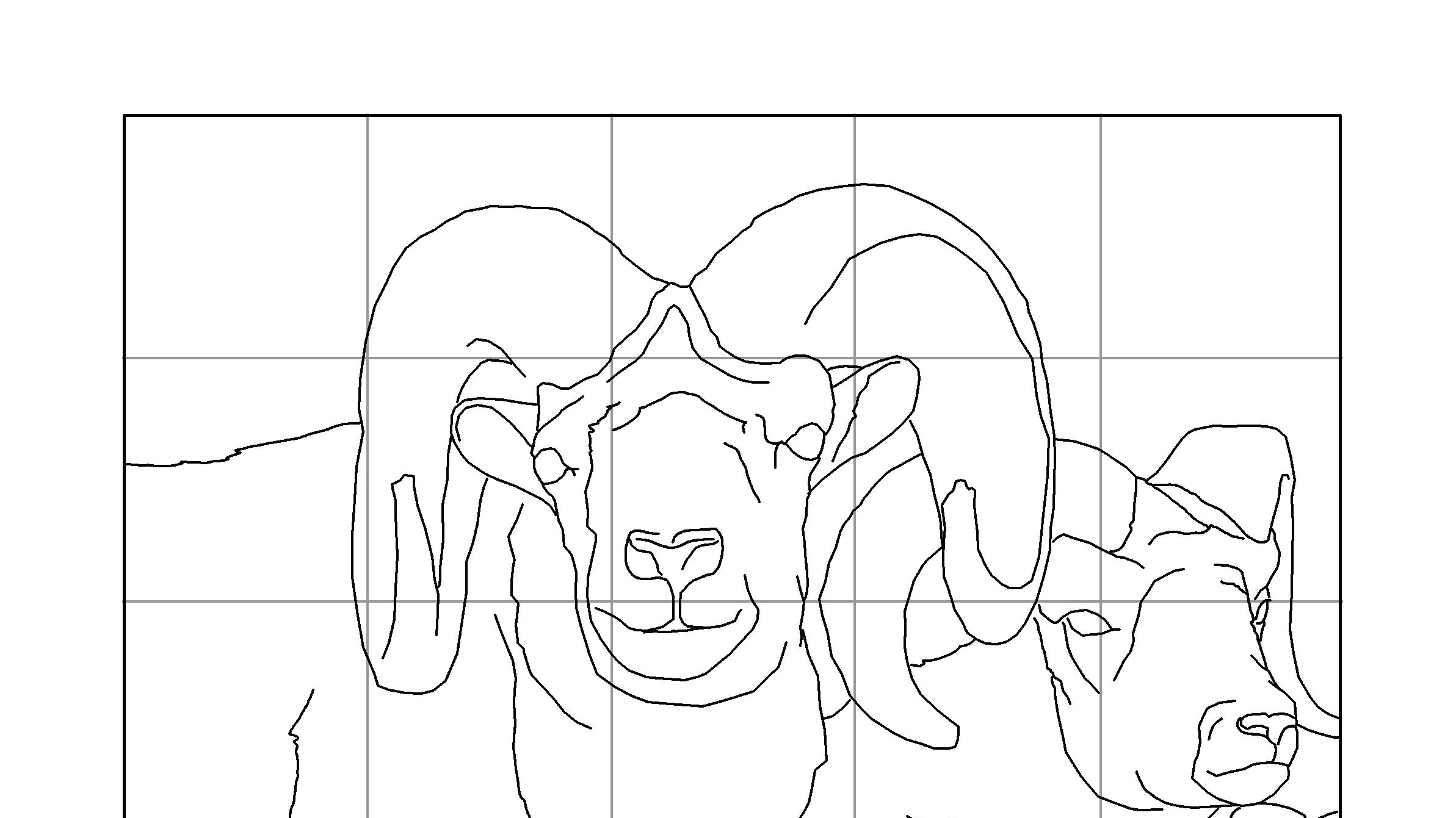 bighorn-ridge-drawing.jpg