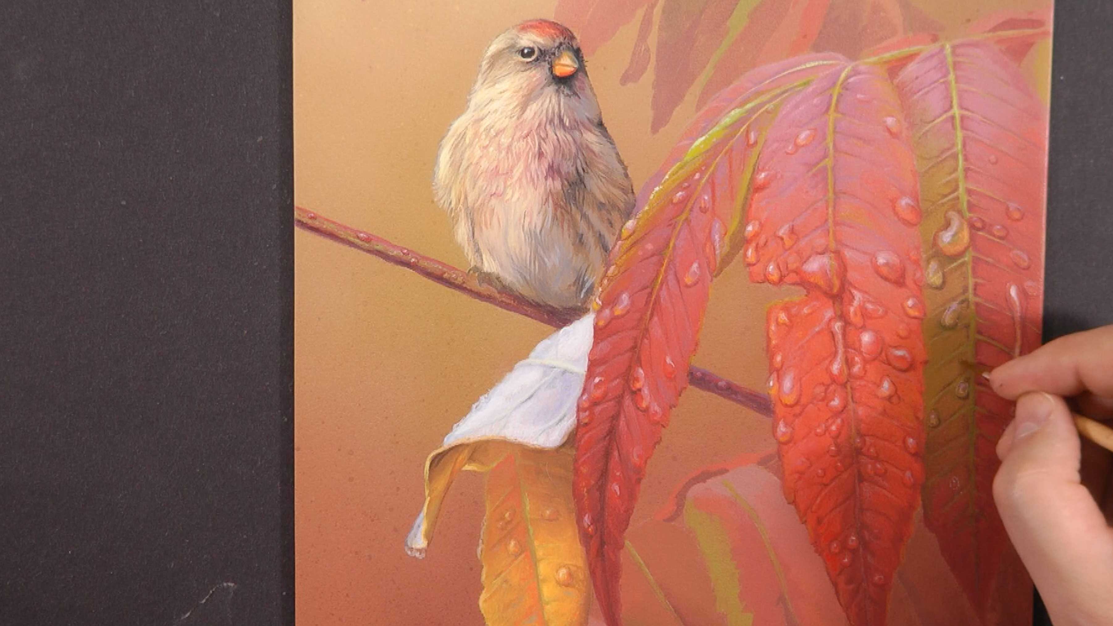 After The Rain Pt.11