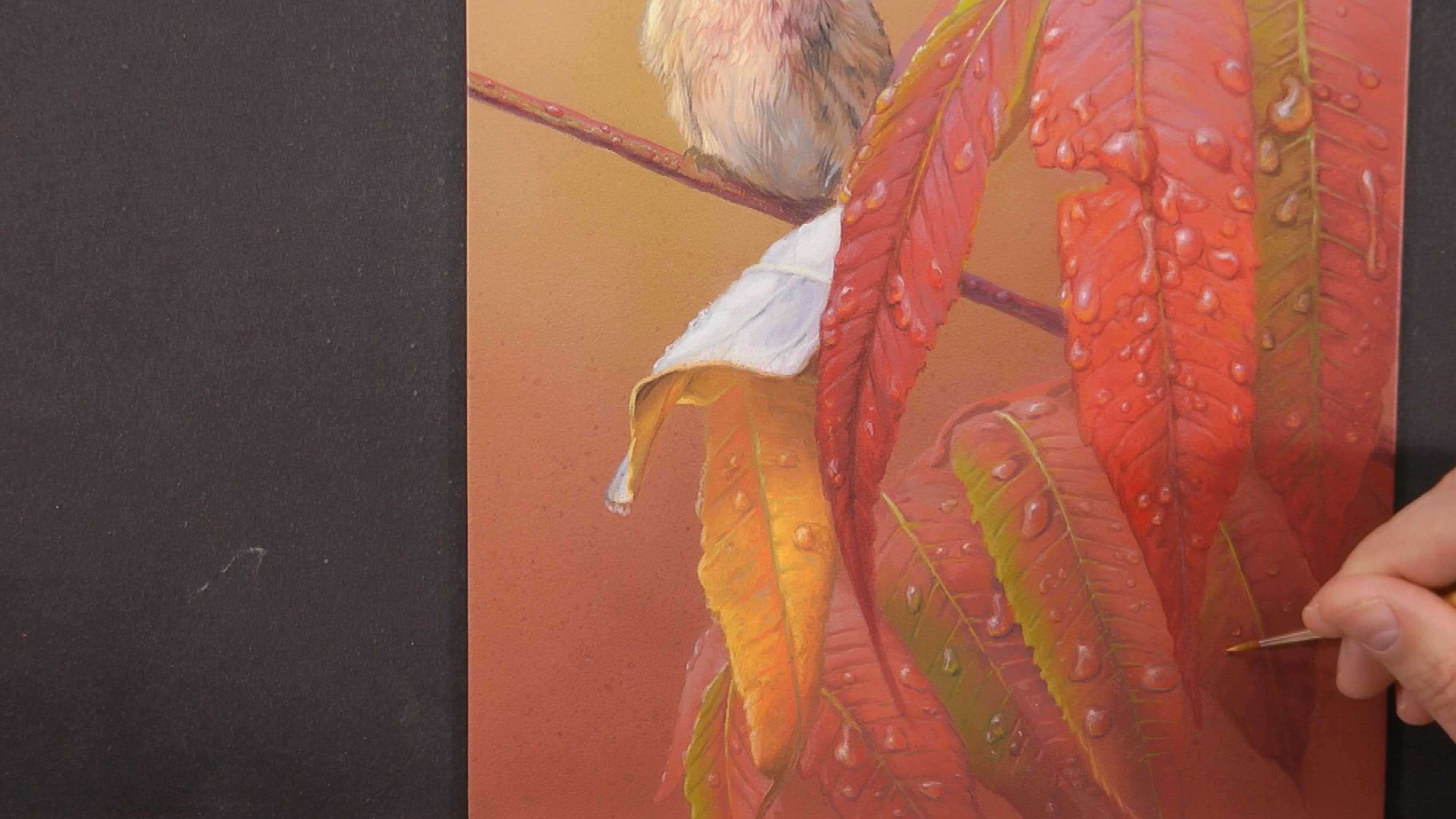 After The Rain Pt.13