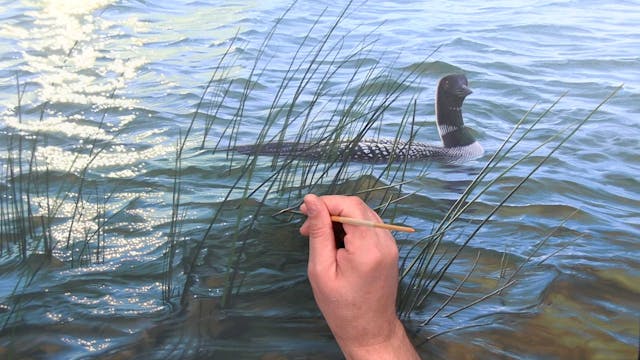 Sparkle And Flow Pt.18