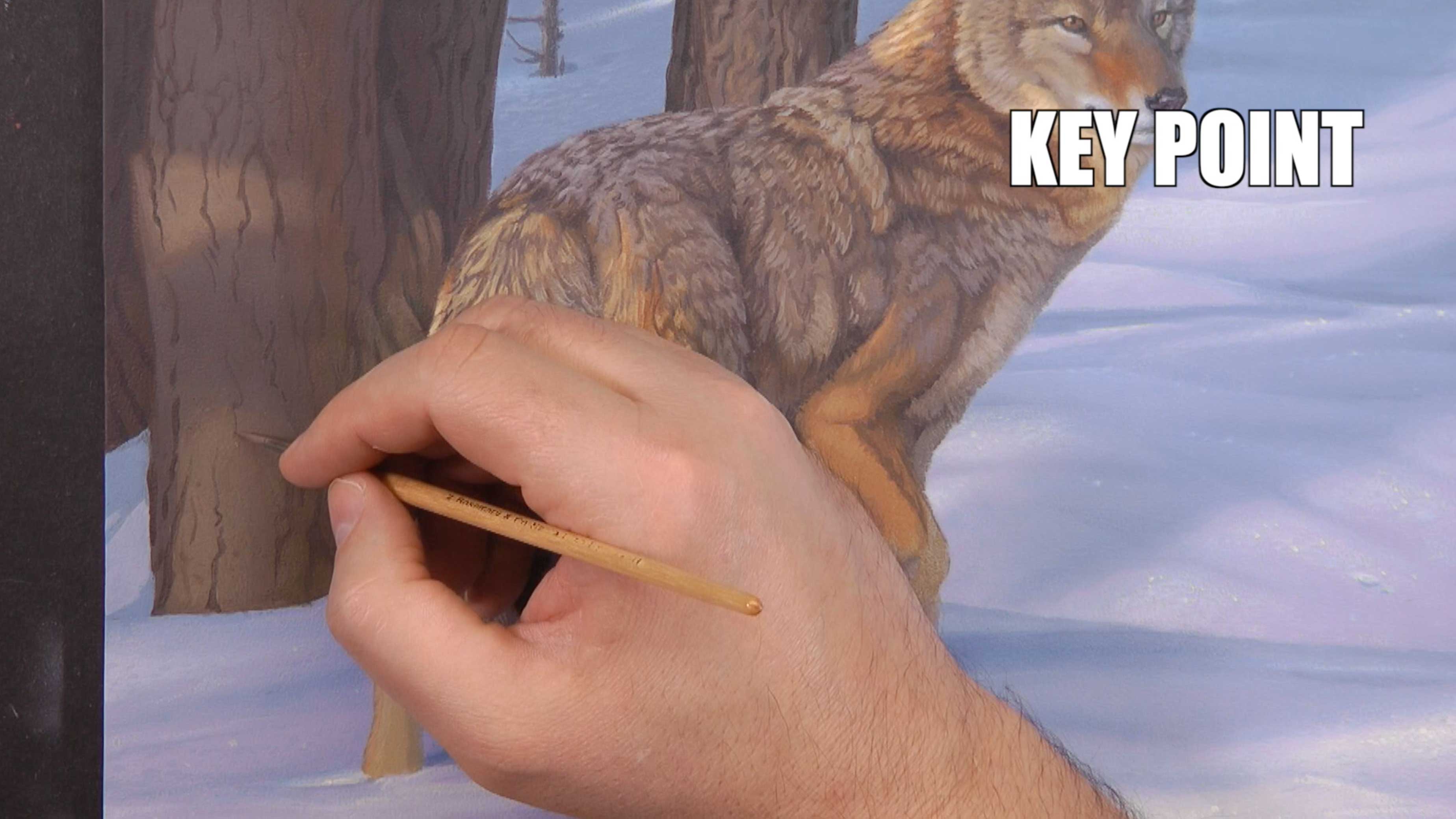 Evening Perambulation Pt.11