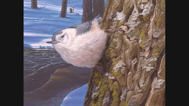 Scout Valley Perspective