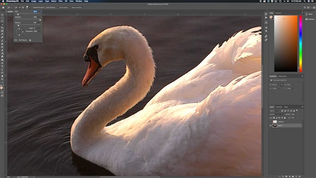 Photoshop For Artists