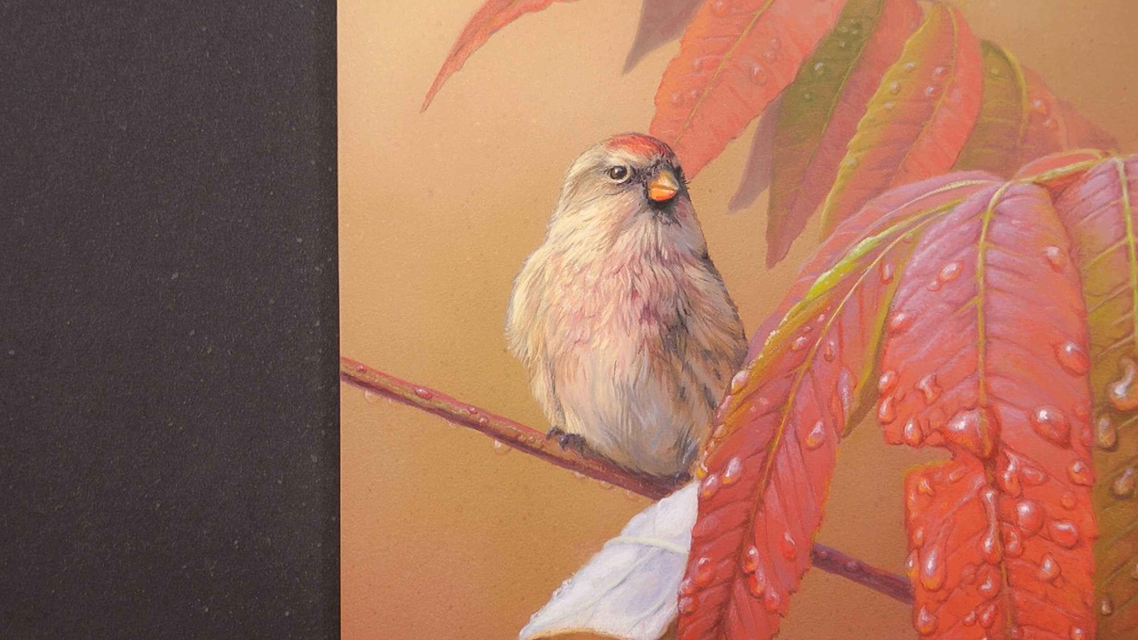 After The Rain Pt.15