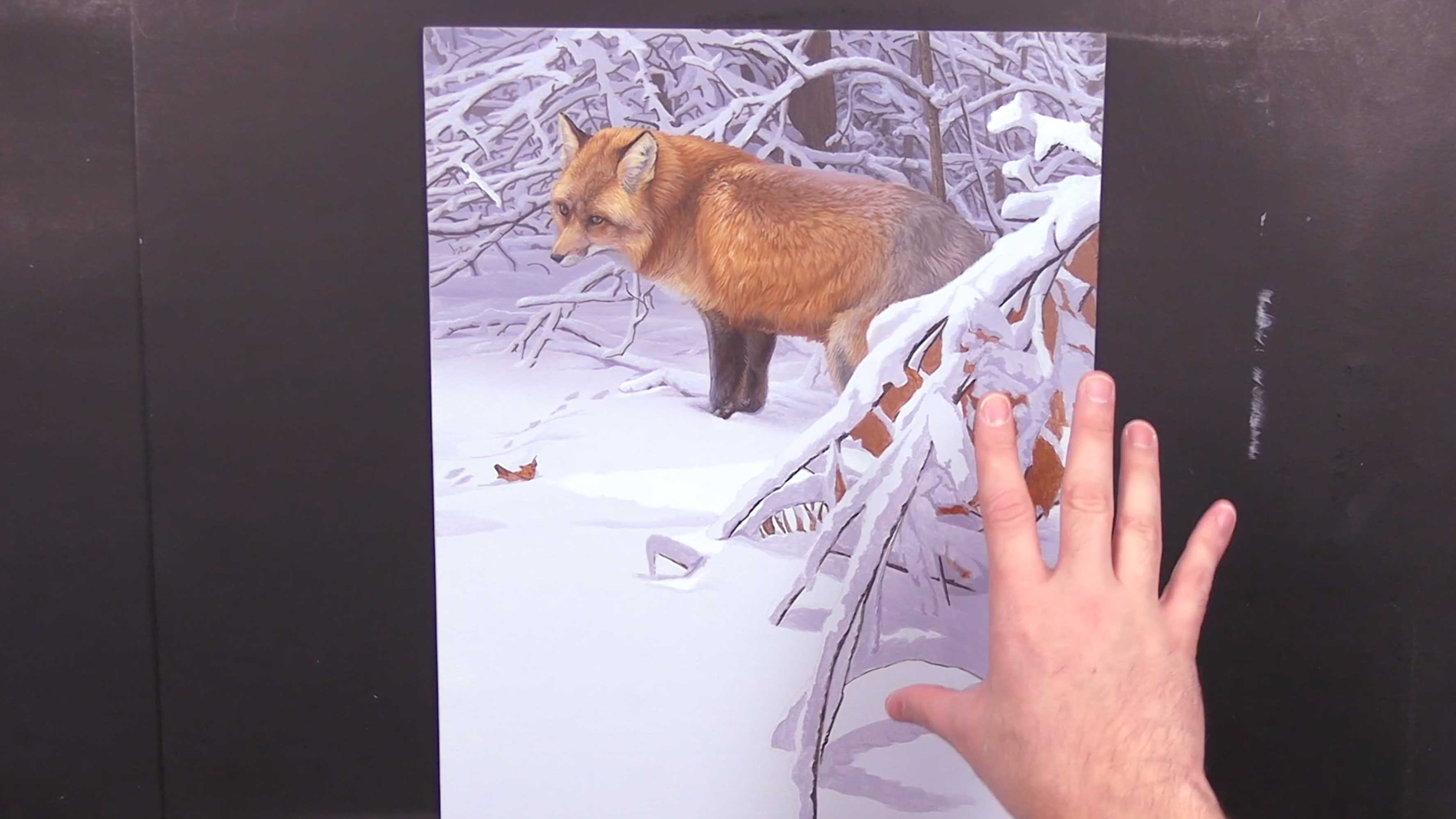 Emerging Colour Pt.10