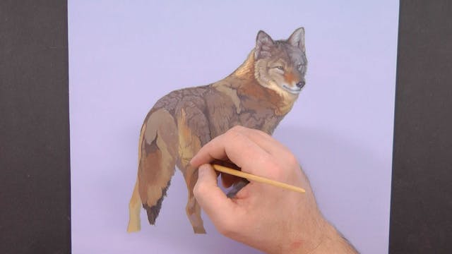 Evening Perambulation Pt.4