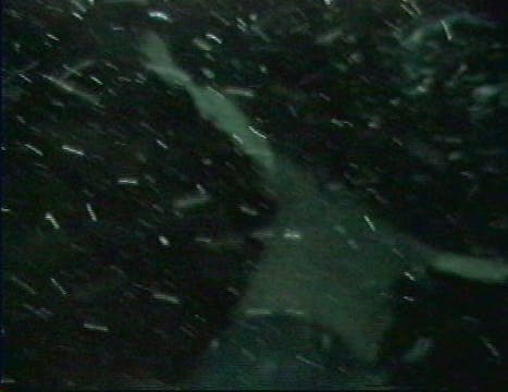 Derelict Abyss