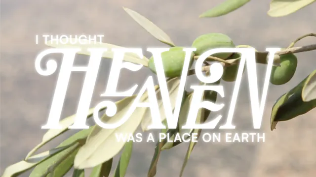 I Thought Heaven Was A Place on Earth