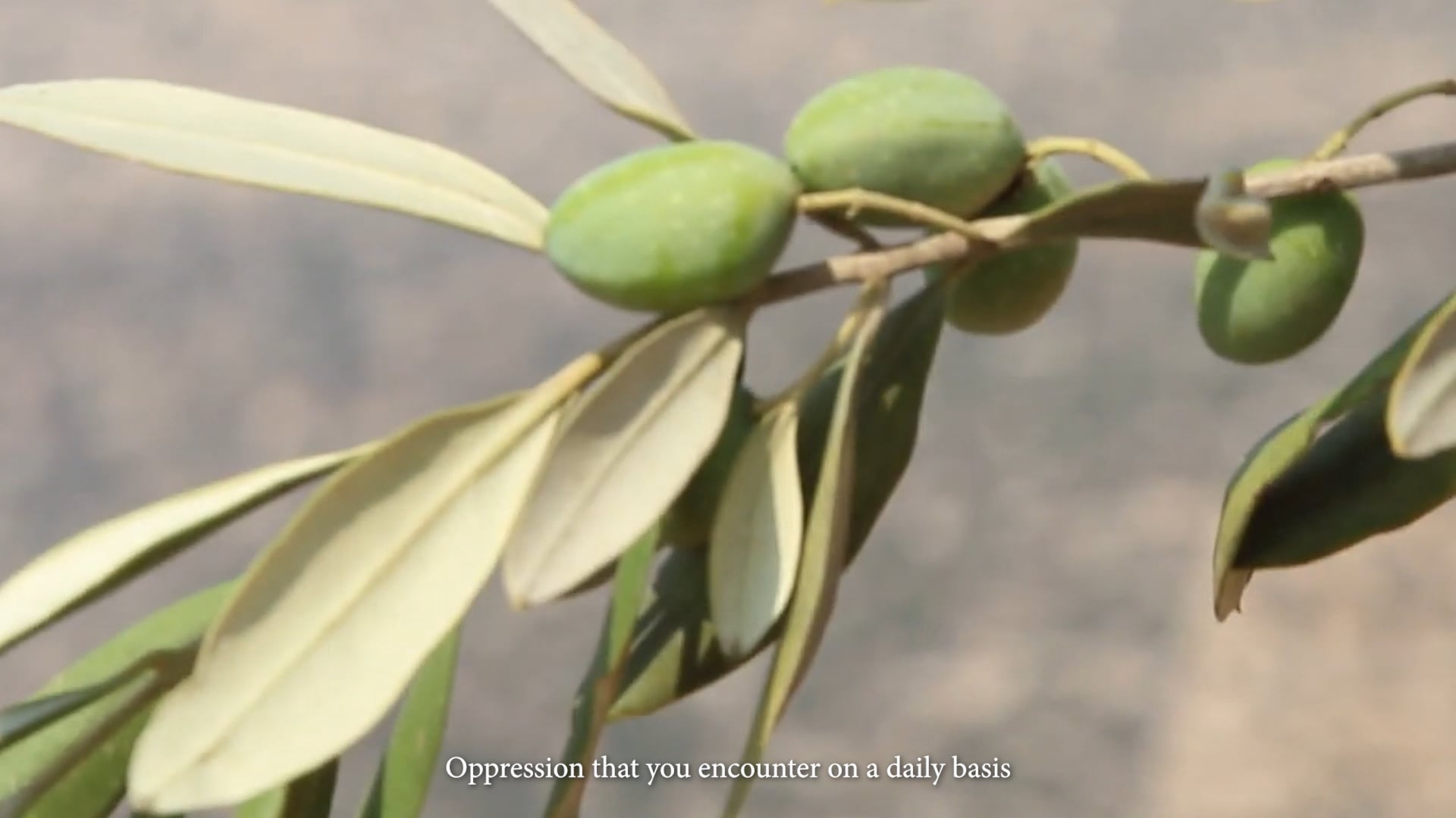 I Thought Heaven Was A Place On Earth