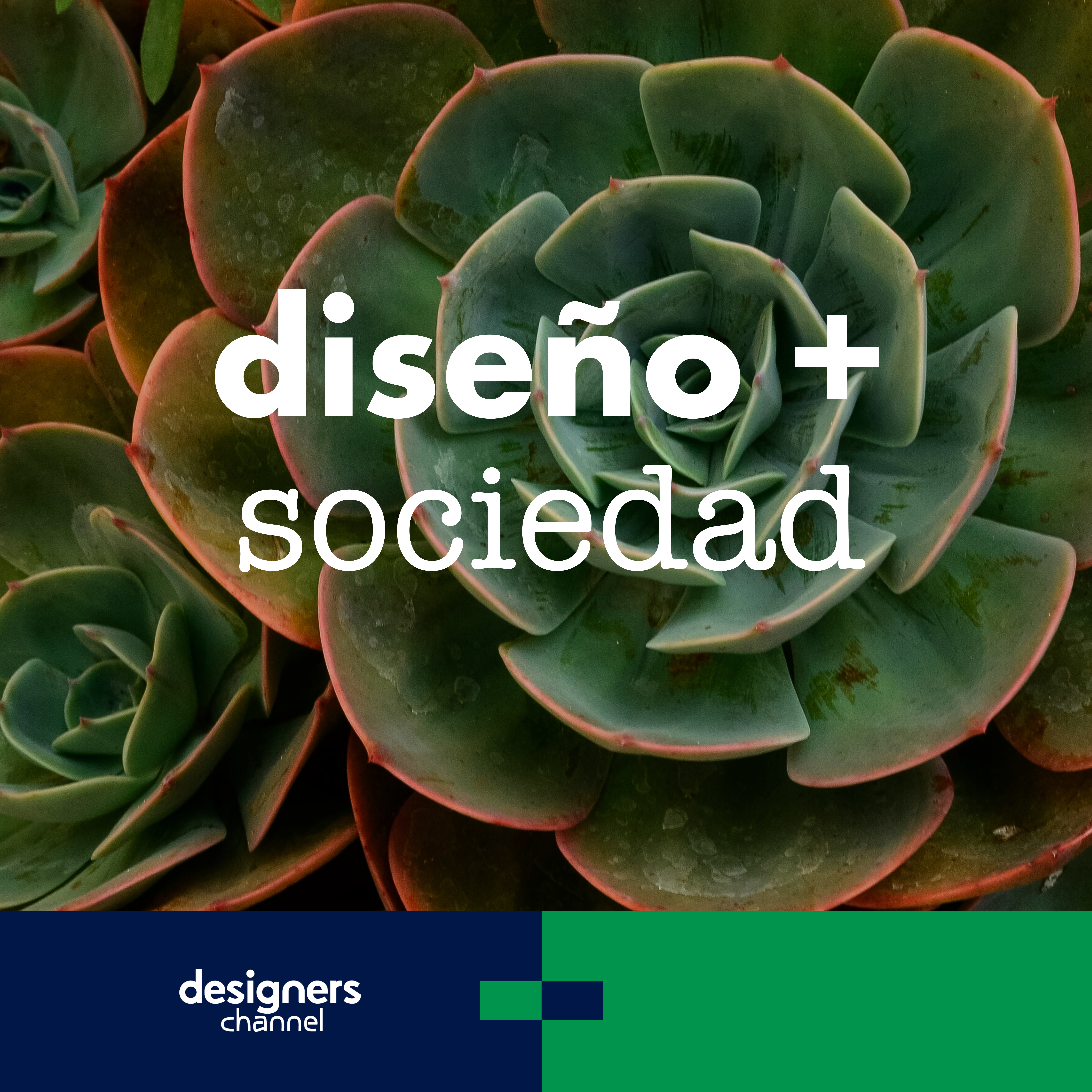 DESIGN + SOCIETY