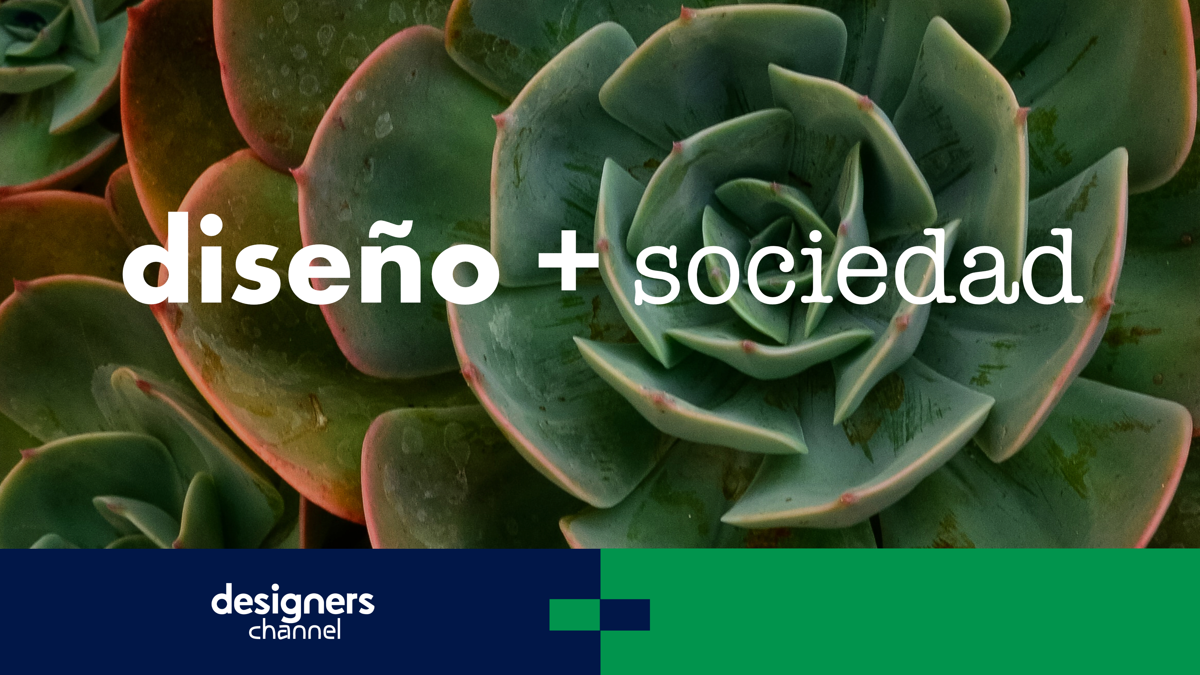 DESIGN + SOCIETY