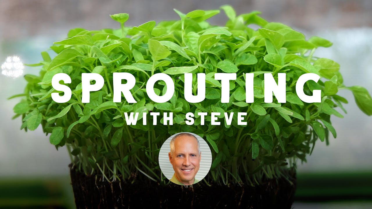 Sprouting With Steve - Sprouting & Microgreens