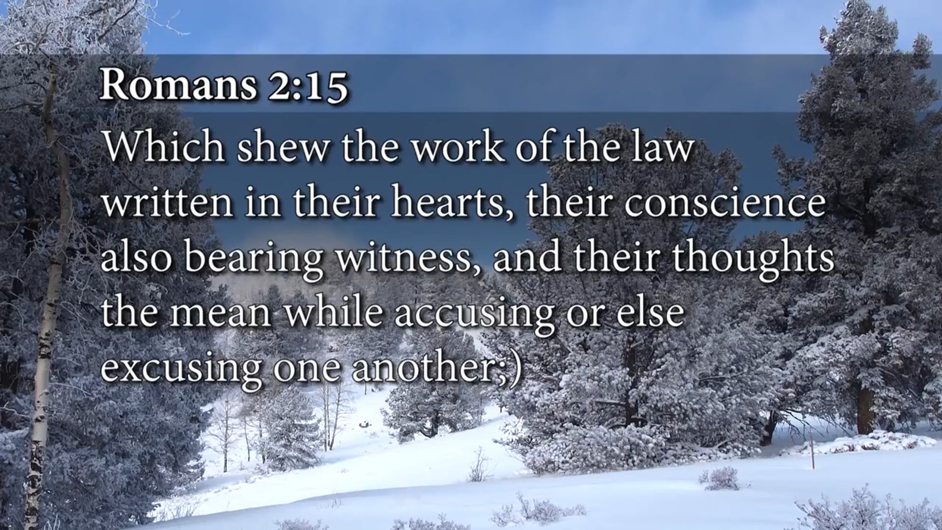 Andrew Wommack - Who Told You That You Were Naked - Week 4, Day 1