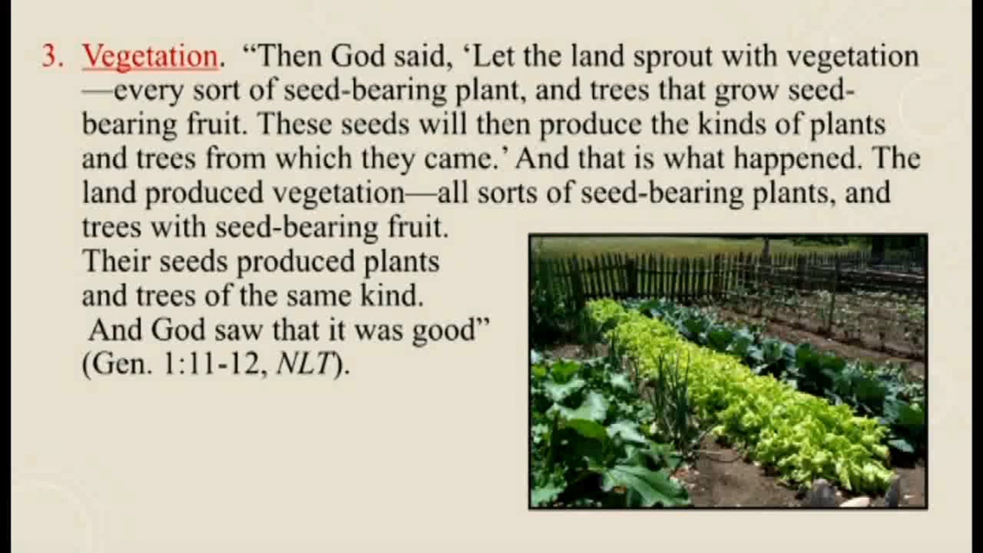 Churches Planting Reproducing Churches - Session 15 - Dr. Elmer Towns