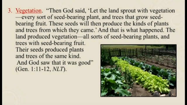 Churches Planting Reproducing Churches - Session 15 - Dr. Elmer Towns