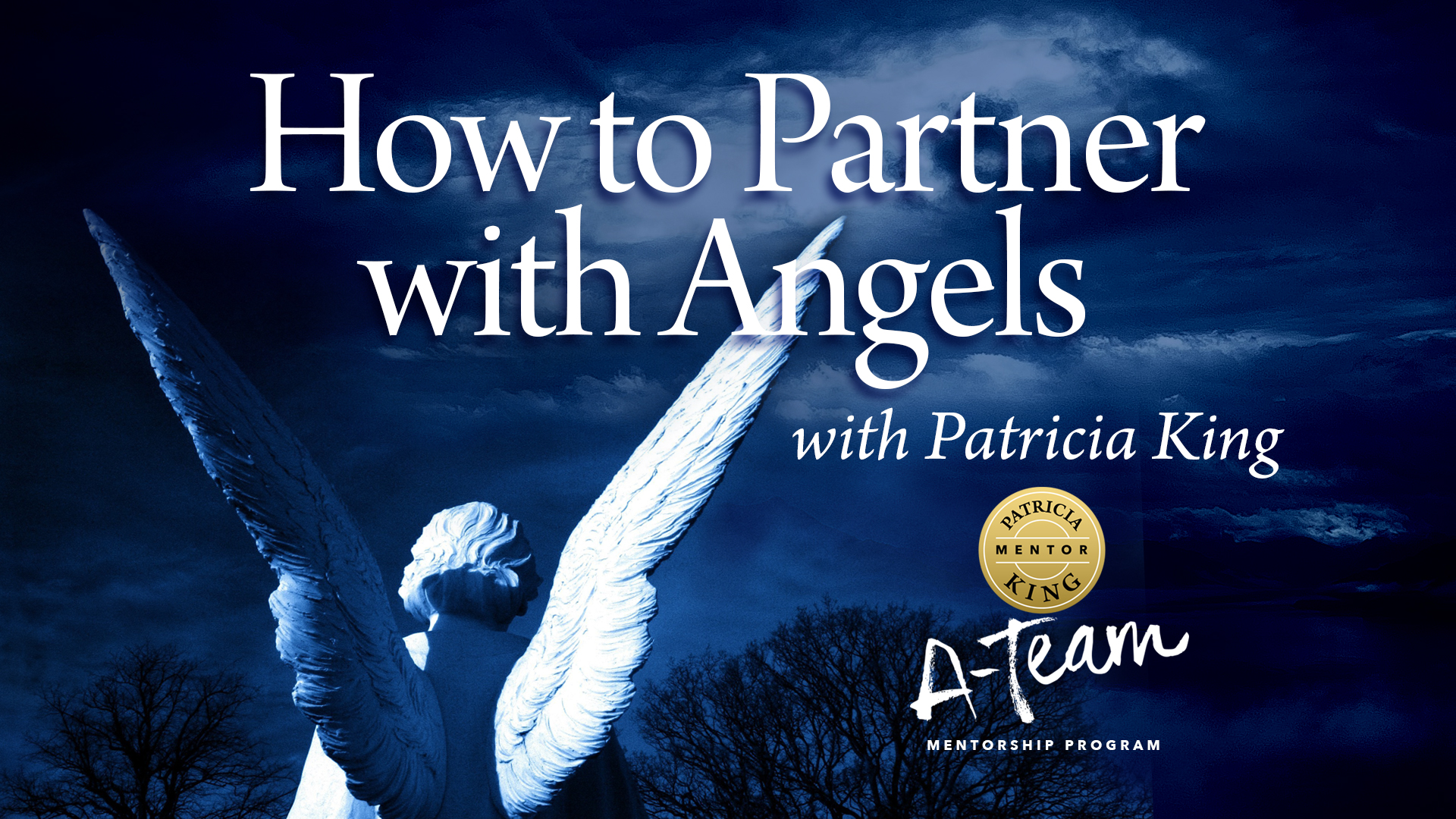 How to Partner with Angels - Session 4