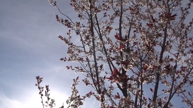 The Spirit Empowered Life - Session 3...