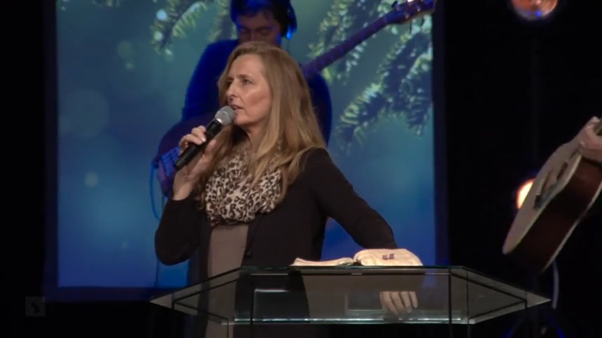 Catch the Fire - The Power of Positive Thinking - Patricia Bootsma