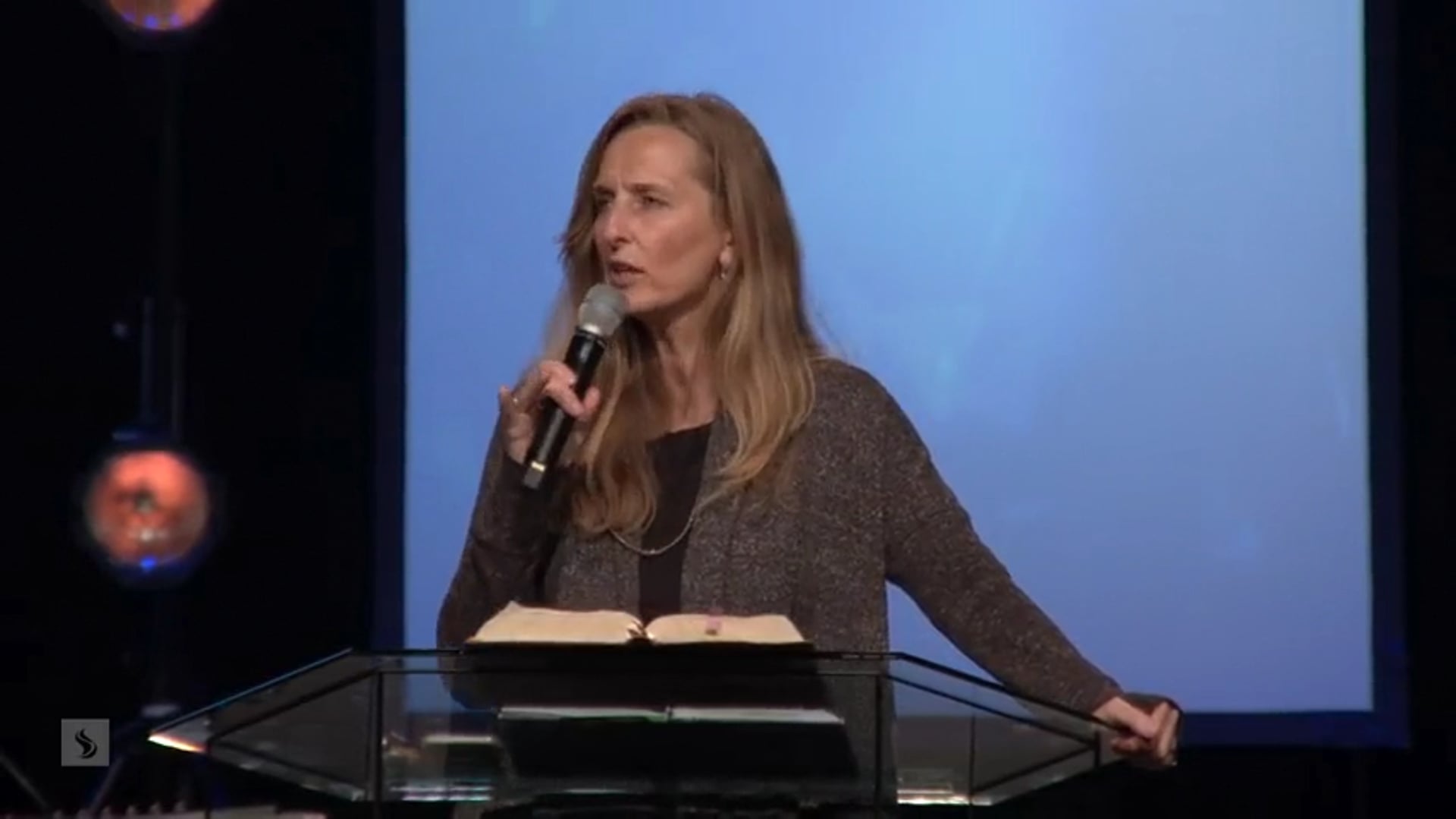 Catch the Fire - The Proverbs 31 Woman - Patricia Bootsma