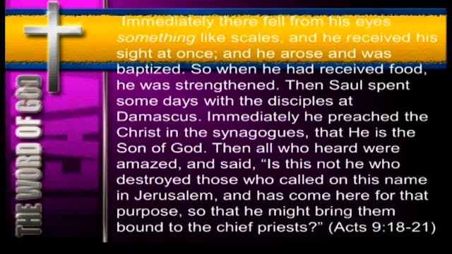 Survey Of The New Testament - Session...