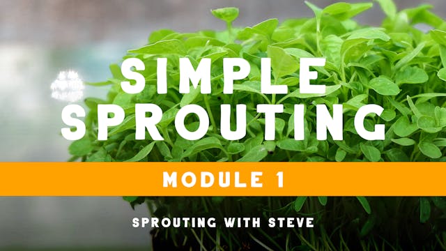 Simple Sprouting Mod 1:  ABC's of Spr...
