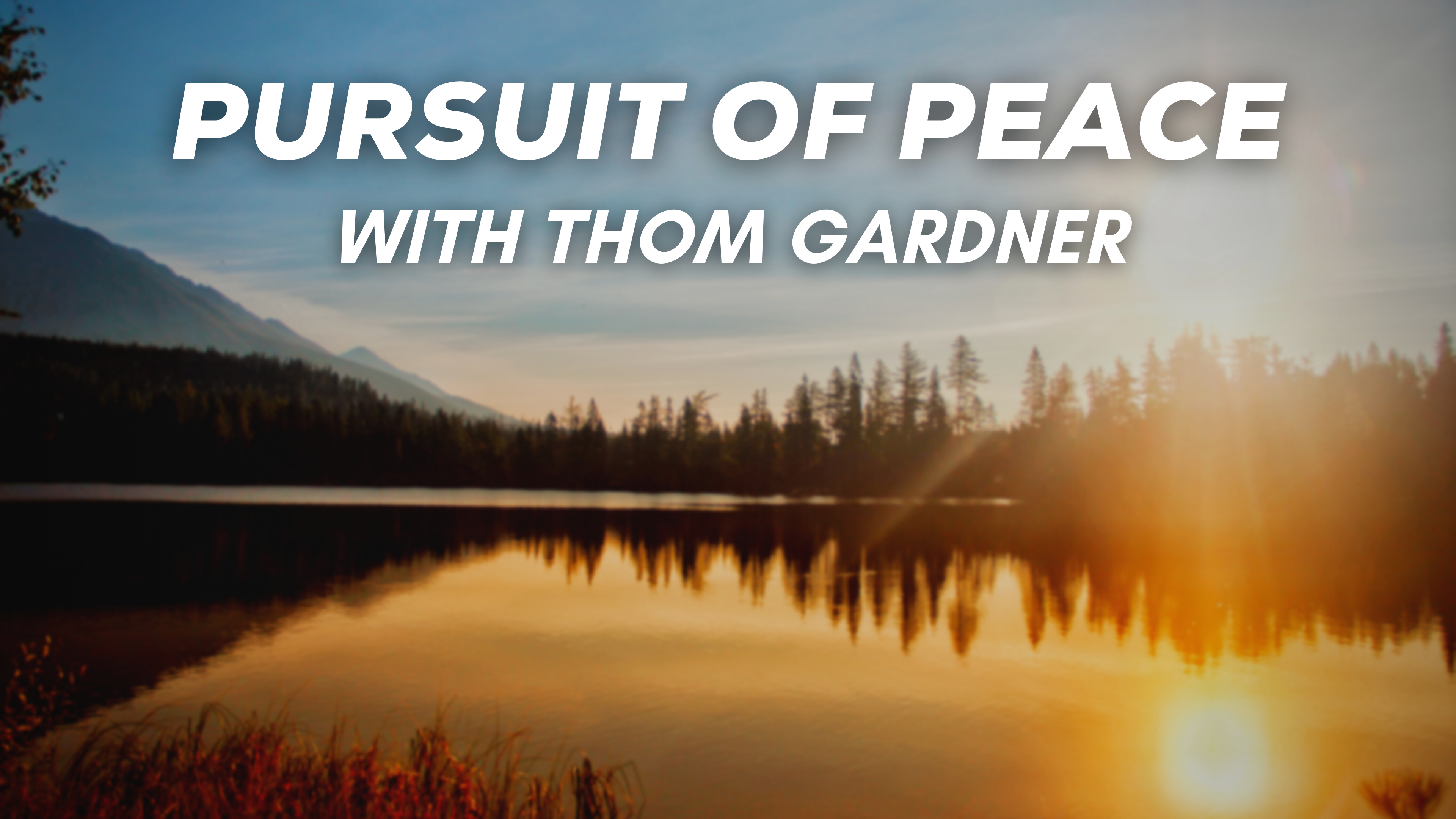 Pursuit of Peace - Session 4