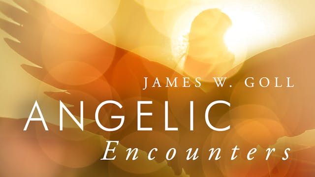 Angelic Encounters