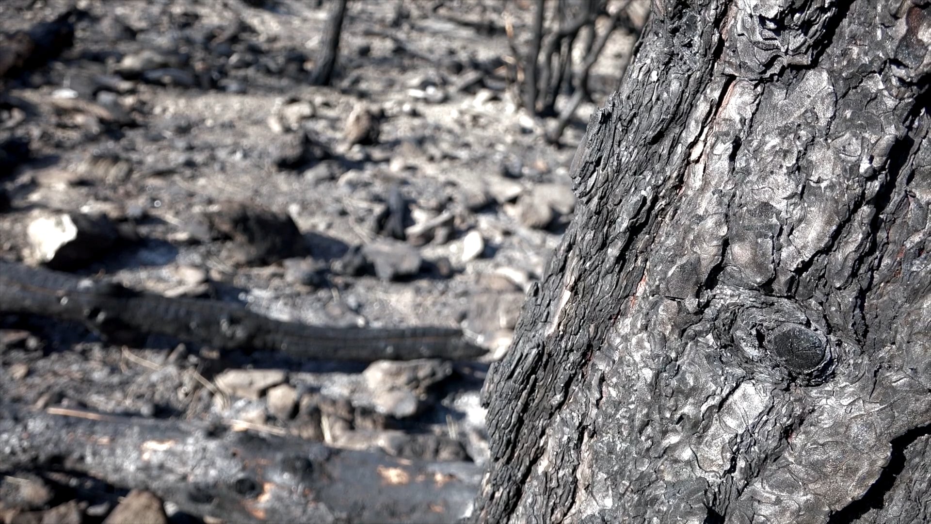 The God of Tight Places - Thom Gardner