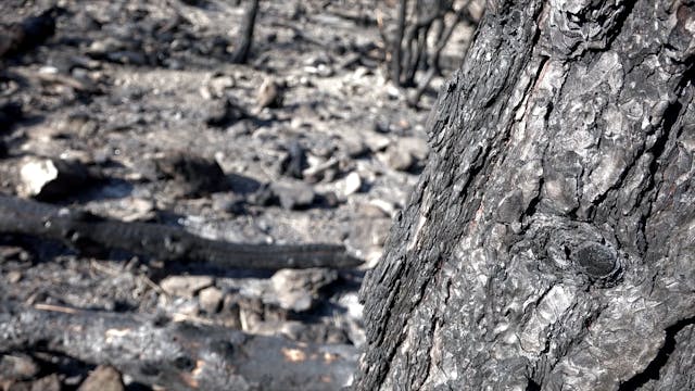 The God of Tight Places - Thom Gardner