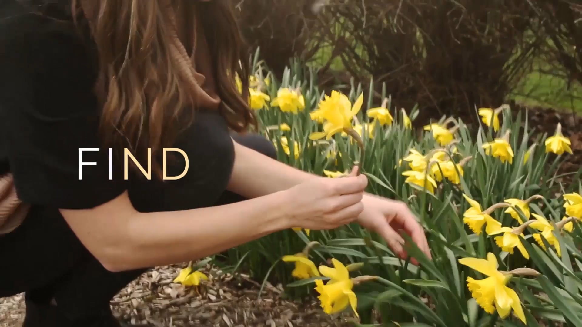 The Spirit Empowered Life - Session 16 - Beth Jones