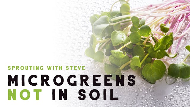 Microgreens Not In Soil - Hydroponics Part 6