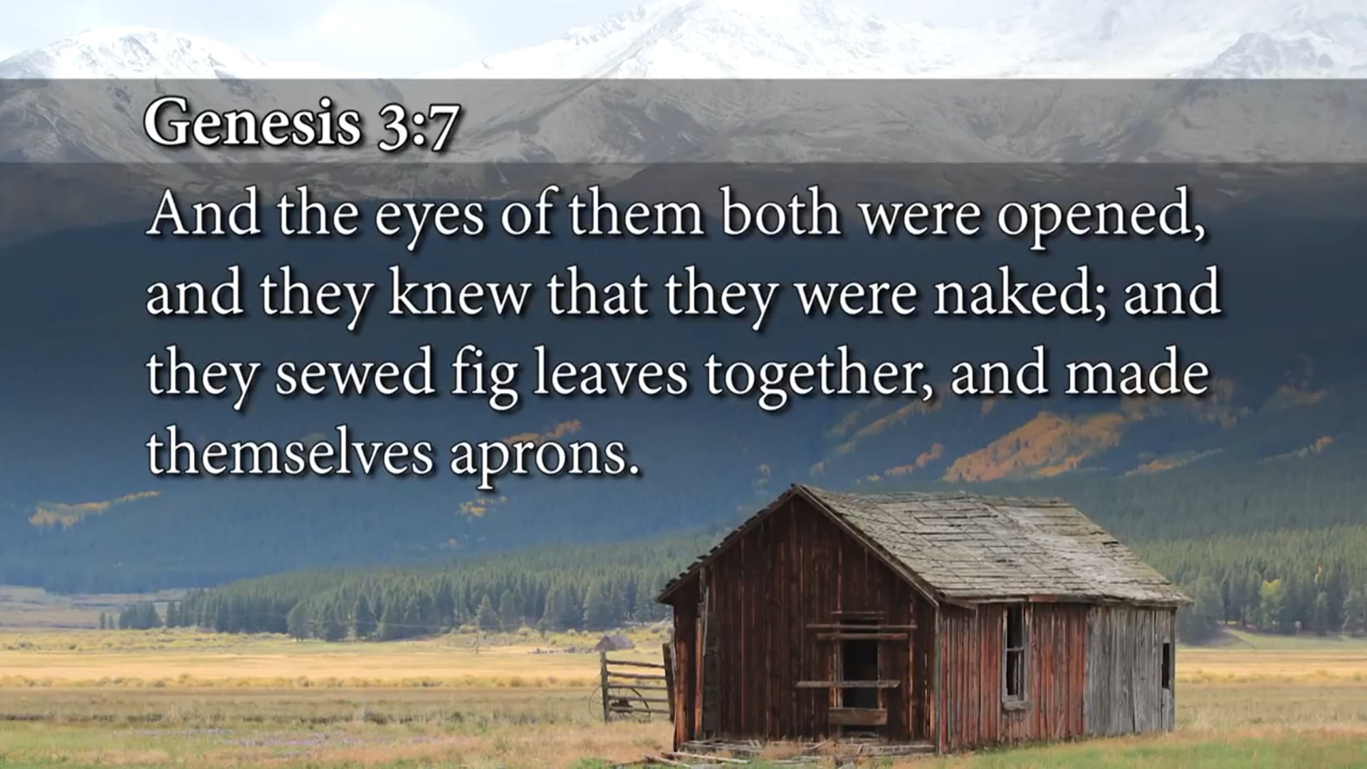 Andrew Wommack - Who Told You That You Were Naked - Week 1, Day 4