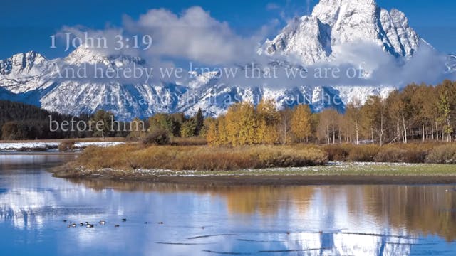 Andrew Wommack - Who Told You That Yo...