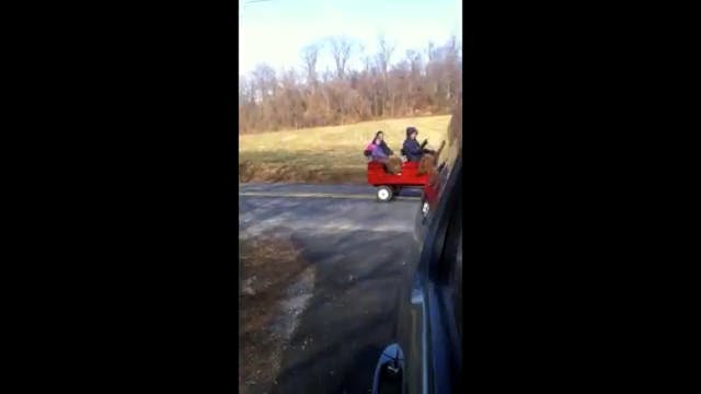 Amish cart