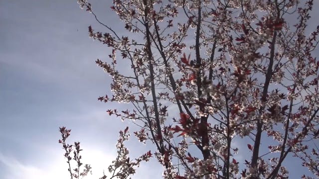 The Spirit Empowered Life - Session 2...