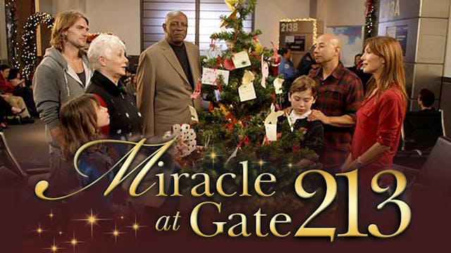 Miracle At Gate 213