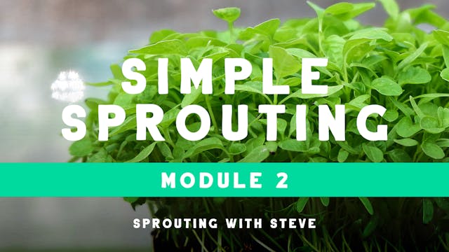 Simple Sprouting Mod 2:  BRG Day 4