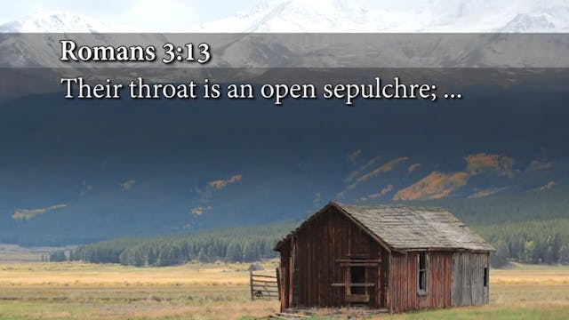 Andrew Wommack - Who Told You That Yo...