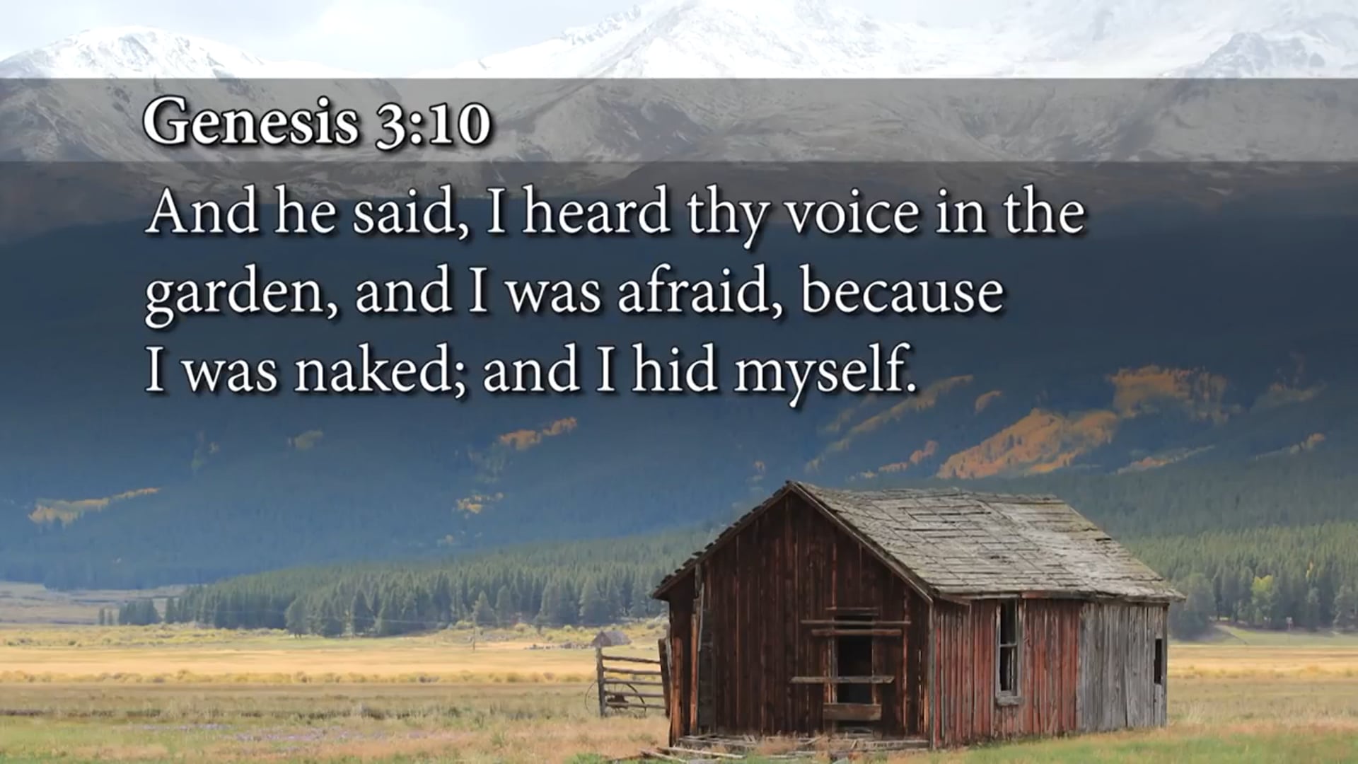 Andrew Wommack - Who Told You That You Were Naked - Week 1, Day 2 
