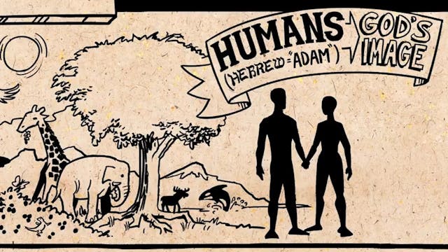 Read Scripture - Genesis Ch. 1-11