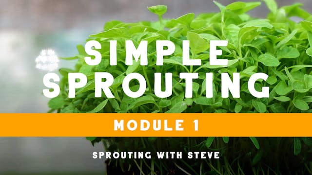 Sprouting With Steve Course Overview