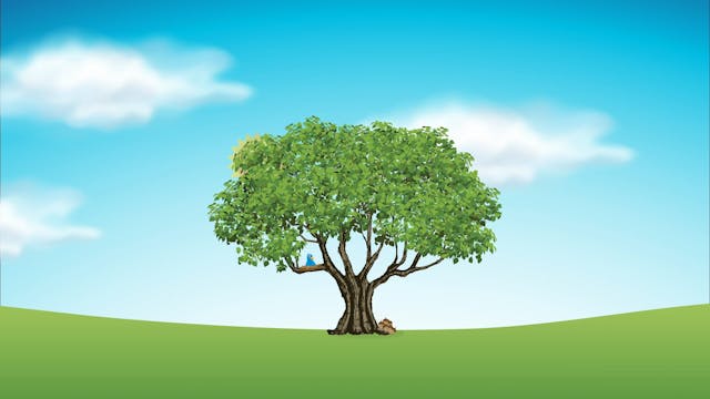 GOD AND ME TEACHER VIDEO LESSON INTRODUCTION