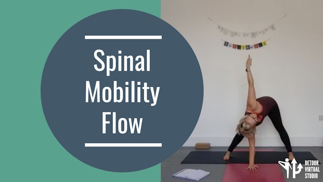 Spinal Mobility and Detoured Flow