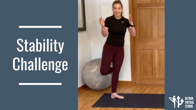 Stability Challenge